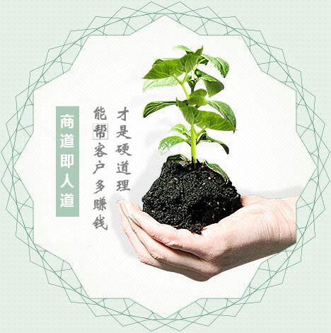 蔬菜種子經(jīng)營(yíng)，商道即人道