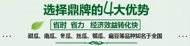購(gòu)買(mǎi)蔬菜種子，選擇鼎牌的四大優(yōu)勢(shì)