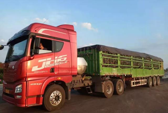 種南瓜竟然種出“麻煩”了，瓜販搶購(gòu)，電視臺(tái)記者也趕來(lái)了