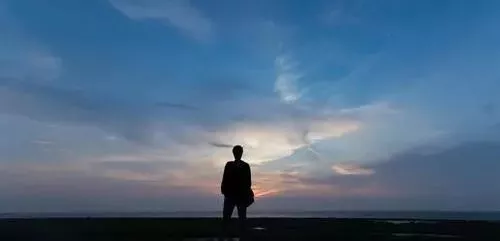 雇工難、成本高，想種甜瓜怎么辦？