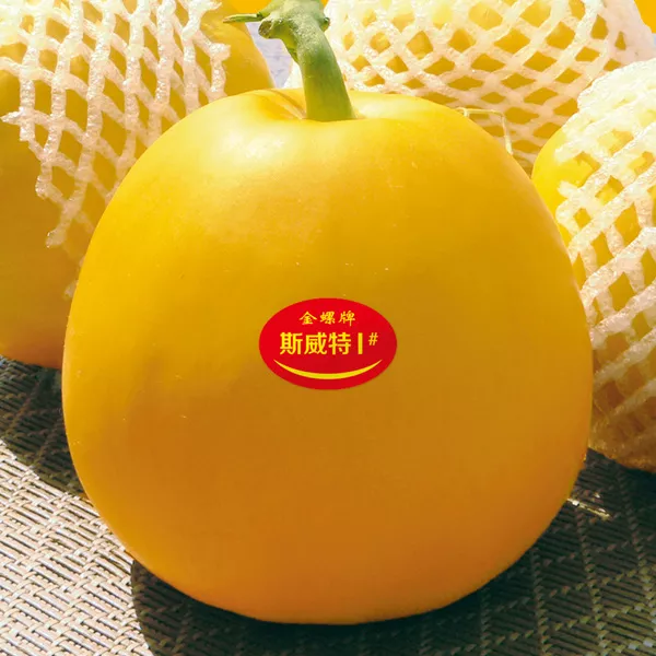 薄皮甜瓜，哪個品種最好呢？畝產(chǎn)高達10萬，附4種市場爆款品種