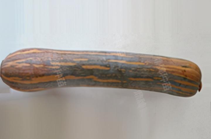 2020年，市面上的南瓜品種哪個(gè)口感最好、最甜、最值得種植？