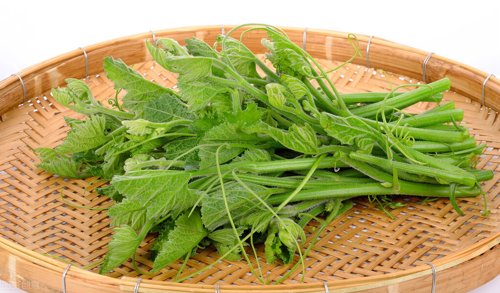 種這種綠葉菜，栽培輕松，畝產(chǎn)值過萬元，菜農(nóng)表示很劃算