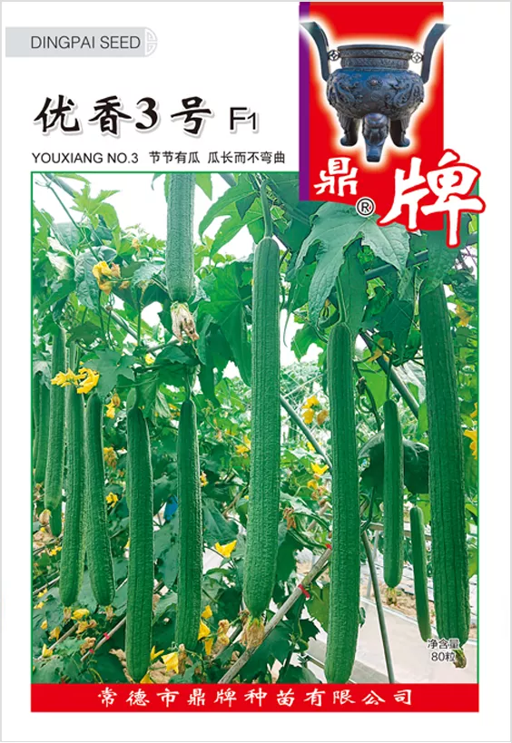 它是絲瓜種植戶的新選擇，節(jié)節(jié)有瓜，瓜長而不彎曲