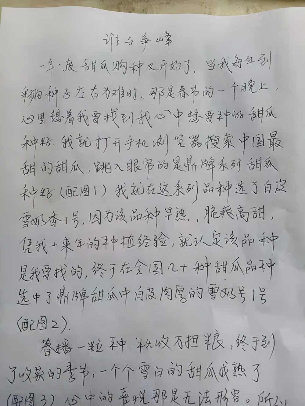 河南焦作的李向林今年種植甜瓜新品種，客戶直接拉貨走人