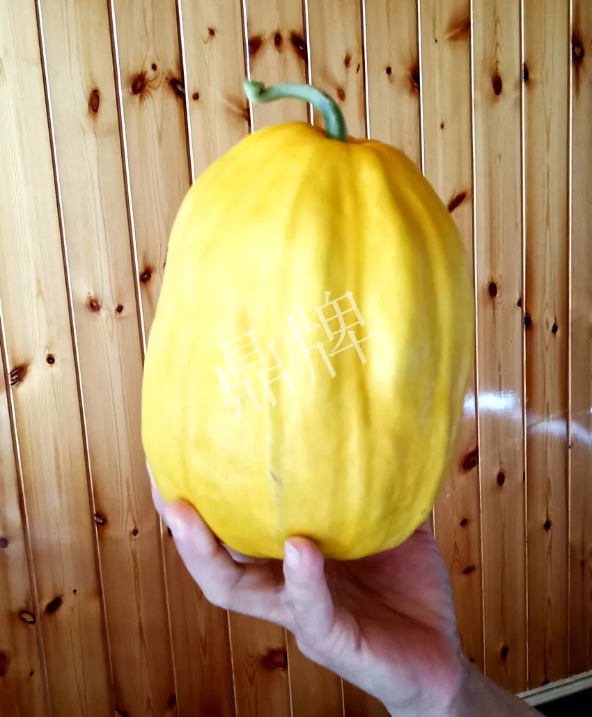 婁底瓜農(nóng)純賺50萬(wàn)，我這個(gè)“張大膽”榮光了一把