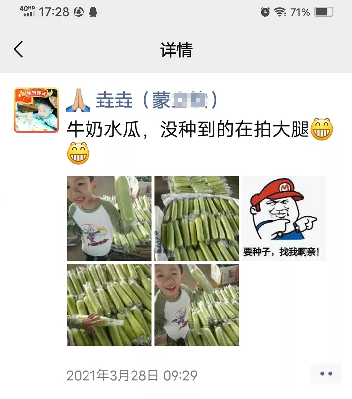 這個(gè)絲瓜每畝能掙3萬(wàn)，沒種植的農(nóng)戶后悔得拍大腿