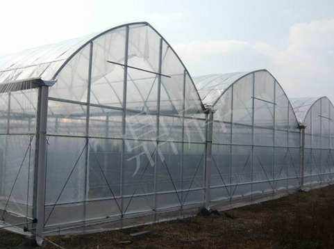 蔬菜種子種植戶(hù)客戶(hù)點(diǎn)評(píng)-鼎牌瓠瓜上市早，地頭批發(fā)價(jià)達(dá)到8元/斤，種植基地王老板告訴您！